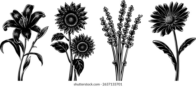 black and white line art garden flower vector pack