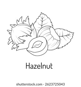 Black and white line art of hazelnuts with leaves, perfect for botanical design, coloring books, educational materials, or food packaging decoration.