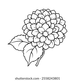 Black and white line art of a hydrangea flower with clustered petals and leaves