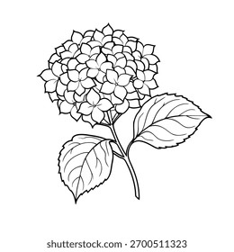 A arte da linha preta e branca da flor de hortênsia com folhas detalhadas perfeito para ilustração botânica e design floral