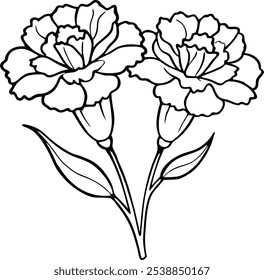 Ilustración de arte de línea en blanco y negro de flores de Dianthus con subgrupos y hojas, perfecto para colorear libros y actividades de arte antiestrés. Este dibujo floral detallado sobre un fondo blanco es ideal 