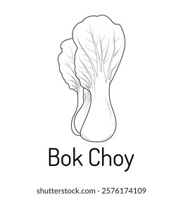 Black and white line art illustration of Bok Choy. Minimalistic vegetable design perfect for coloring books, culinary projects, healthy lifestyle concepts, or educational materials.