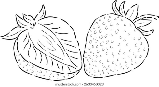 Black and white line art illustration of a whole strawberry and a sliced strawberry. Hand-drawn botanical style, high-quality, scalable, botanical Fruit drawing suitable for digital and print design.