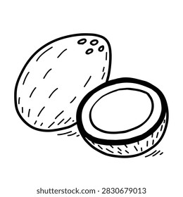 Black and white line art illustration of a whole coconut and a halved coconut piece isolated on a white background.