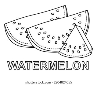 Black and white line art ripe sliced up watermelons Coloring book page for adult and kids Summer themed vector illustration for icon, stamp, label, badge, sticker or gift card decor