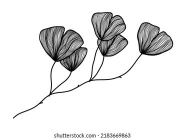 Black and white line art silhouette drawing of Ginkgo Biloba leaves for background, logo and other illustration needs