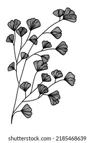 A Black and white line art silhouette drawing of ginkgo biloba leaves for background, logo and other illustration needs