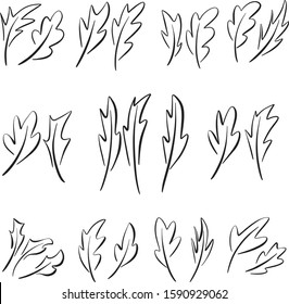 Black and White Line Art Simple Vector Leaves or Feather Collection for Logos or Borders