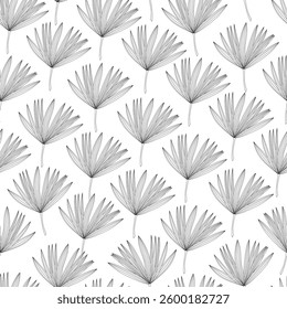 Black and white line art vector seamless pattern with palm leaves.