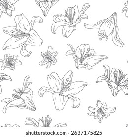 Black and white line art vintage seamless pattern with hand drawn lily flowers. Linear boho floral repeat background. Vector illustration