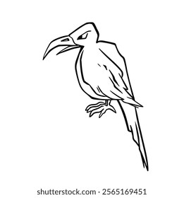 black and white line bird raven hand drawn illustration vector