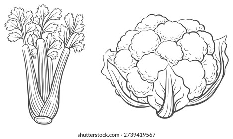 Black and white line of celery stalks and cauliflower head with leaves