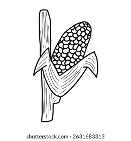 black and white line. Corn on white background. Cartoon Style Illustration