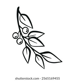 black and white line decorative branch hand drawn illustration vector