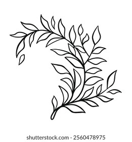 black and white line decorative vegetation branch hand drawn illustration vector