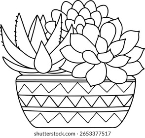A black and white line drawing of a collection of succulent plants in a patterned pot. The succulents have varied leaf shapes and textures. The pot has a geometric design with triangles and horizontal