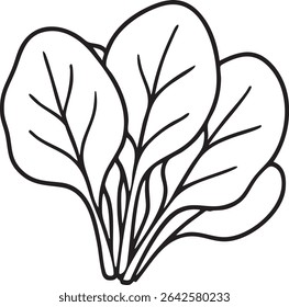 Um desenho a preto e branco representa um aglomerado de folhas de espinafre, mostrando suas formas arredondadas e estrutura proeminente da veia.