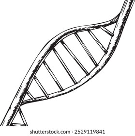 black and white line drawing of a double helix structure possibly depicting DNA or another molecule. It is a simple and bold illustration that would be useful for educational or scientific purposes.