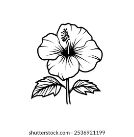 A black and white line drawing of a hibiscus flower with leaves.