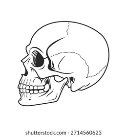 Black and White Line Drawing of a Human Skull in Profile View head bone
