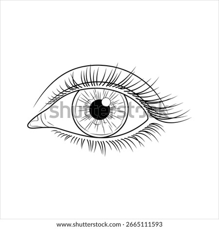 Black and white line drawing of a human eye iris pupil