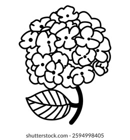 Black and white line drawing of a hydrangea flower with multiple small petals forming a large bloom and a single veined leaf. Ideal for coloring pages or decorative elements.
