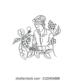 black and white line drawing illustration of woman harvesting coffee beans from the plant 