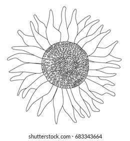 a black and white line drawing of an isolated sunflower; a national symbol of Ukraine