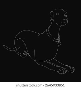 Desenho de linha preto e branco de um cão Labrador usando um colar, colocado contra um fundo escuro. A ilustração apresenta traços limpos e ousados e um estilo minimalista, destacando o amigável do cão.