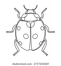 Un dibujo de línea en blanco y negro de una mariquita vista desde arriba.
