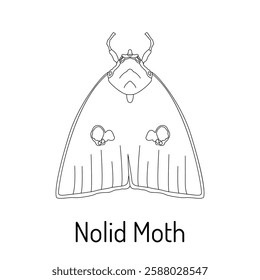 Black and white line drawing of a Nolid Moth. Detailed vector illustration for coloring books, educational materials, and nature-inspired designs. Perfect for entomology and wildlife lovers.