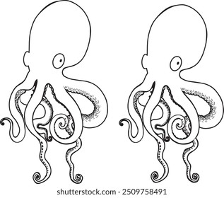 Black and white line drawing octopus. Detailed graphics drawing pattern design element underwater animal. Clip art asian seafood restaurant menu character childrens coloring book dotwork tattoo sketch