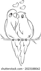 black and white line drawing of a pair of parrots.vector illustration of two birds in love