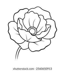 A black and white line drawing of a poppy flower, showcasing its delicate petals and central stamen