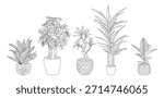 Black and white line drawing of potted houseplants – snake plant, tall palm, small palm, yucca, and monstera – in a clean modern style. Vector illustrations isolated on white background