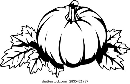 Black and white line drawing of a pumpkin with detailed leaves, showcasing a simple yet elegant botanical illustration suitable for coloring or design.