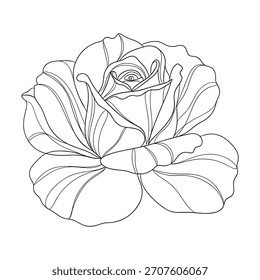 Un dibujo de línea en blanco y negro de una sola rosa completamente florecida.