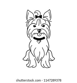 A black and white  line drawing or sketch of a dog; yorkshire terrier; vector illustration isolated on white;