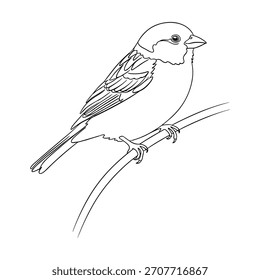 Un dibujo de línea en blanco y negro de un pájaro Pequeño que descansa sobre una rama delgada.