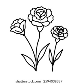 Black and white line drawing of three carnations with detailed petals, stems, and leaves, perfect for elegant minimalist designs.