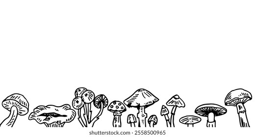 Black and white line drawing of a variety of mushrooms, cartoon background.