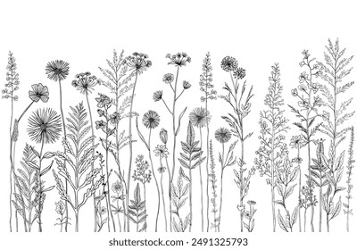 Dibujo en línea en blanco y negro de varias flores silvestres y plantas. Siluetas de hierba, flores y hierbas.