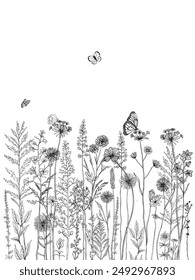 Black and white line drawing of various wildflowers, insects and plants.Silhouettes of grass, flowers, butterflies and herbs.