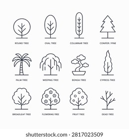 Black and white line drawings of twelve different tree species with botanical labels