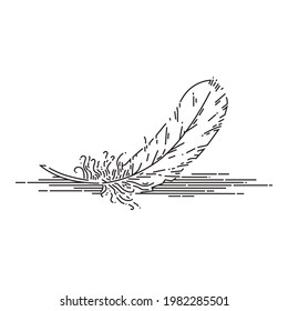 black and white line feather