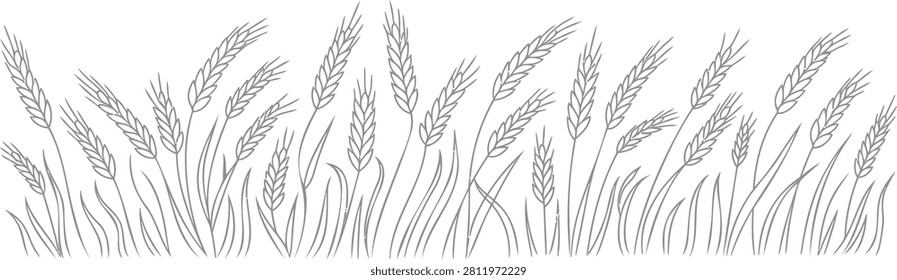 Black and white line of a field of wheat stalks with blades of grass grain
