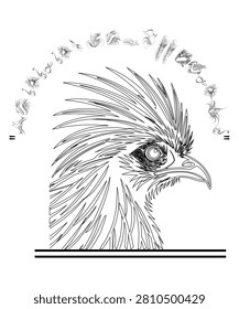 Black and white line of a hawk head with decorative bird profile