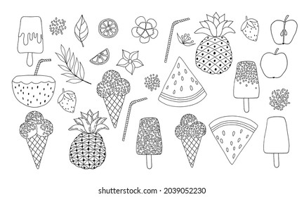 black and white line illustration for coloring book summer food , flower and leaves  , and fruits slices