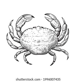 Black and white line illustration of crab in sketch engraving vintage style for menu and label design. 