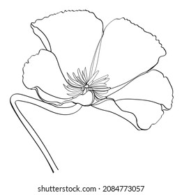 Black White Line Illustration Magnolia Flower Stock Vector (Royalty ...